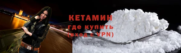 прущие грибы Рославль