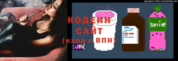 прущие грибы Рославль