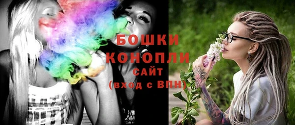 прущие грибы Рославль