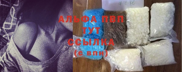 прущие грибы Рославль