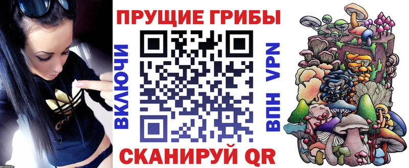 Псилоцибиновые грибы MAGIC MUSHROOMS  Чухлома 