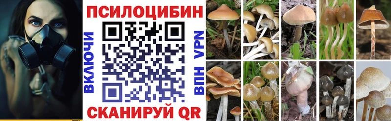 Псилоцибиновые грибы прущие грибы Чухлома